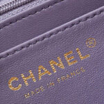 Chanel Mini Flap Bag With Top Handle AS4924